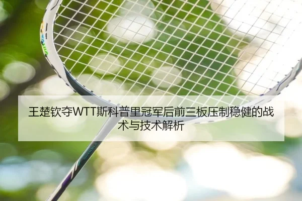 王楚钦夺WTT斯科普里冠军后前三板压制稳健的战术与技术解析